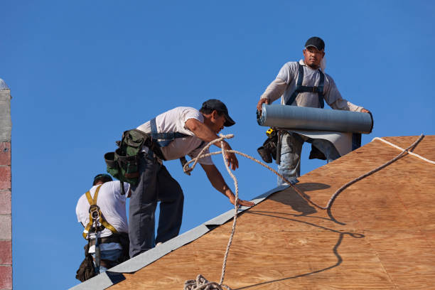 Gutter Installation and Roofing in Century, FL