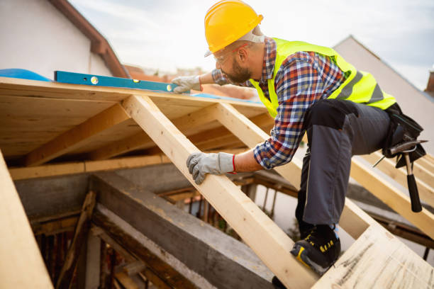 Best New Roof Installation  in Century, FL