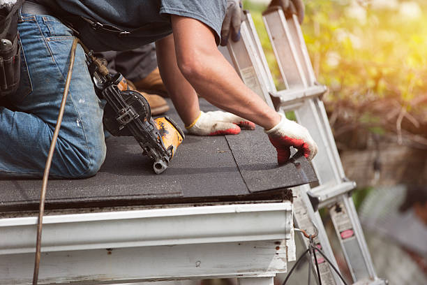 Best Commercial Roofing Services  in Century, FL